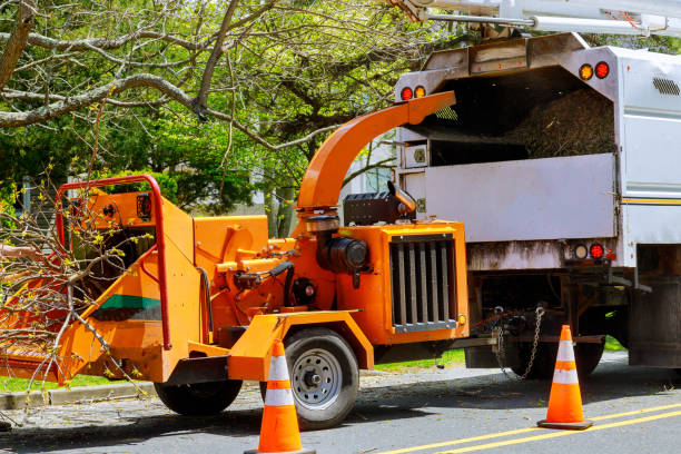 Lawn Drainage Solutions in Kula, HI